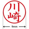 31543733