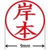 31543794