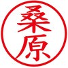 31543837