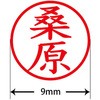 31543837