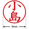 31543855