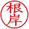 31544555