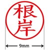 31544555