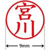 31544923