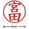 31544948