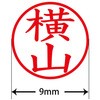 31545158