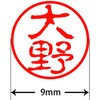 31545404