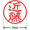 31545508