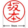 31545535