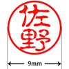 31545562