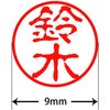 31545596
