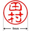 31545632