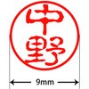 31545666