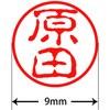 31545754