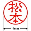 31545858