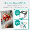 ELK-LAMMA45 J[[U[p }bg ~l[g ϐ A4TCY GR 31603584