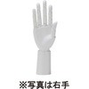 紳士ハンドツール 右手 ショート 白 サンクリエイト