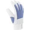 AG505 AG505 sbL[J[ ACE GLOVE(G[XO[u) 32011763