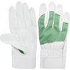 AG505 AG505 �s�b�L�[�J���[ ACE GLOVE(�G�[�X�O���[�u) 32011779