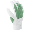 AG505 AG505 �s�b�L�[�J���[ ACE GLOVE(�G�[�X�O���[�u) 32011779