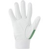 AG505 AG505 �s�b�L�[�J���[ ACE GLOVE(�G�[�X�O���[�u) 32011779