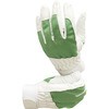 AG505 AG505 �s�b�L�[�J���[ ACE GLOVE(�G�[�X�O���[�u) 32011779