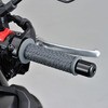 98724 GRIPPY GRIP GG-D-SAKURA DAYTONA(fCgi) 32040549