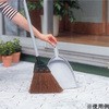 赤シダホーキチリトリセット