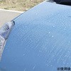 32645146