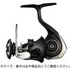 24 CERTATE CUSTOM BODY