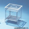 100-6a ���w�N���}�g�O���t�B�[���u ���Ȋw 33131235
