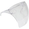 FS-1 fBX|tFCXV[h Thermo Fisher Scientific 33167495