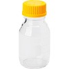 PYREXfBEr(IWLbvt) PYREX(pCbNX)