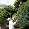 ファミラ 充電式コードレス2way生垣・草刈りバリカン 9点セット ファミリー・ライフ