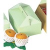 手提グリーン(中) ヤマニパッケージ