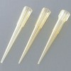 3901 MBP CG[`bv Molecular BioProducts 33405495