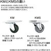 KMS-36 ^N^pXeX SUSE^ MONOVATE(H) 48876256