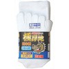 #2692-3P Ɍn5{w FUKUTOKU(Y) 33612557