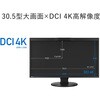 CG3100X-BK 液晶ディスプレイ 30.5型/4096×2160/ブラック EIZO 34688127