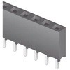 35004884