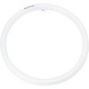 FCL40ENM/38-SHG-A2 z^bN HotaluX(z^NX) 21239139