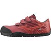 F1GA190163260 ALMIGHTY TD2.2L mizuno(�~�Y�m) 35165979