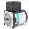 2IK6GN-SWT �C���_�N�V�������[�^�[ ���[���hK�V���[�Y 6W ��t�p60mm �I���G���^�����[�^�[ 35394667