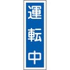 35566562
