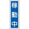 35566833