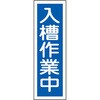 35567034