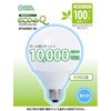 EFG25ED/20 10000ԃ^Cv GRfQ20W G` I[d@ 35676557