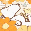 - Xk[s[ Ԃς 炩}bg ZR[ 36209507