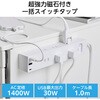 ECT-3910WH R[h d^bv USB ( RZg 6 USB Type-C ~2 USB-A ~1 ) PD 30W }Olbg K[h GR 36211668