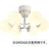 003367 ^Cj[OX V[OCg6 BRID 36213576